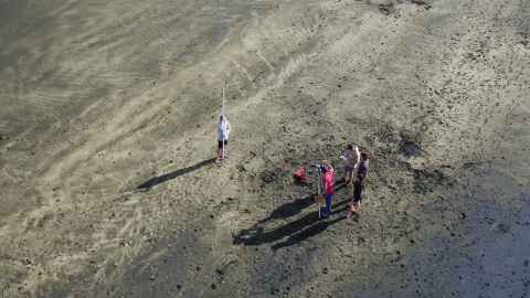Students taking measurements at Muriwai Beach from above.